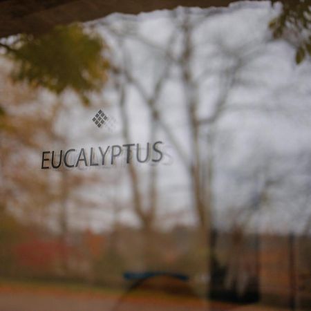 Chambres D'Hotes Eucalyptus Et Glycine Genval Exterior photo
